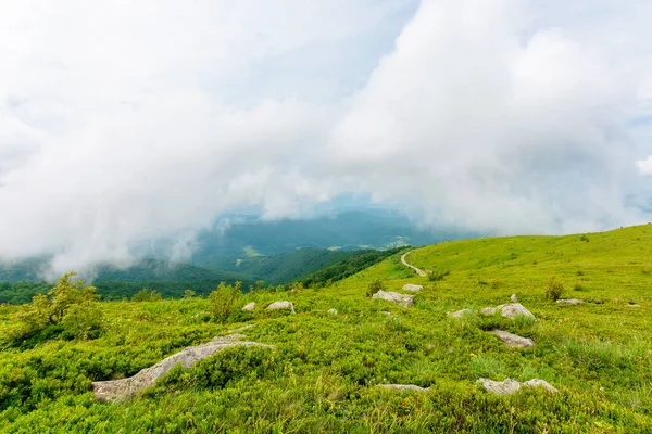 Alpine Meadows Mnt Runa Ukraine Winding Road Distance Beautiful Nature — Stock Photo, Image