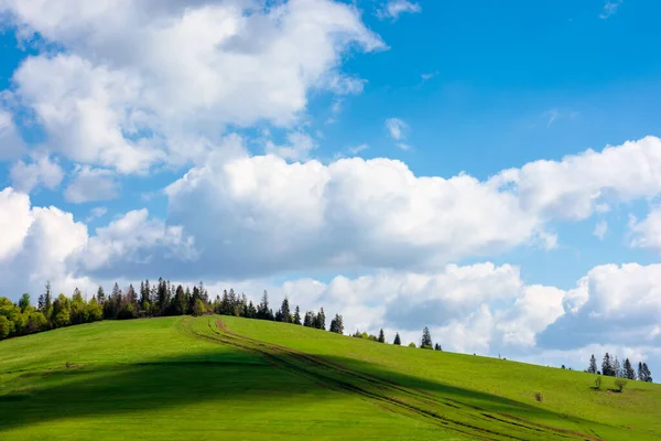 Prachtig Zonnig Weer Met Wolken Boven Heuvel Groen Gras Weide — Stockfoto