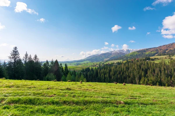 Genial Aire Libre Día Soleado Primavera Hermoso Paisaje Rural Las — Foto de Stock