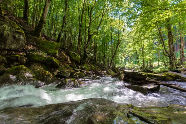 Schöne Landschaft Des Schnellen Gebirgsflusses Strömung Zwischen Bemoosten Felsen Den — Stockfoto