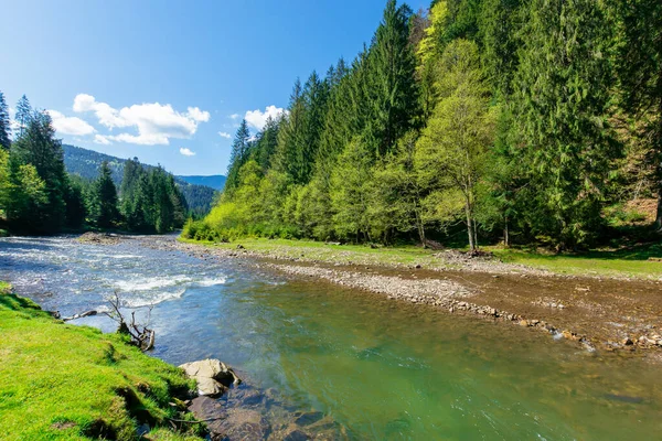 Paisaje Fluvial Entre Bosque Las Montañas Hermoso Paisaje Alpino Primavera — Foto de Stock