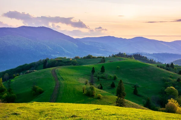 Campo Montañoso Primavera Atardecer Camino Tierra Árboles Las Colinas Cresta —  Fotos de Stock