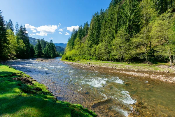 Flusslandschaft Inmitten Des Waldes Den Bergen Schöne Alpine Landschaft Frühling — Stockfoto