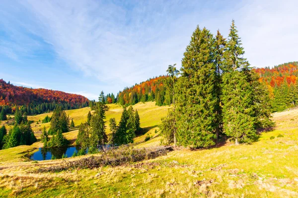 Herbstlandschaft Den Bergen Tannenbäume Rund Den Teich Auf Der Wiese — Stockfoto