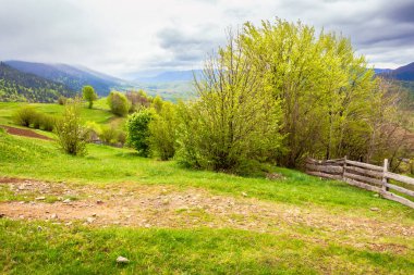 Dağlık kırların yeşil çayırları. İlkbaharda bulutlu hava. Uzakta tepe var. Kırsal alanın güzelliği