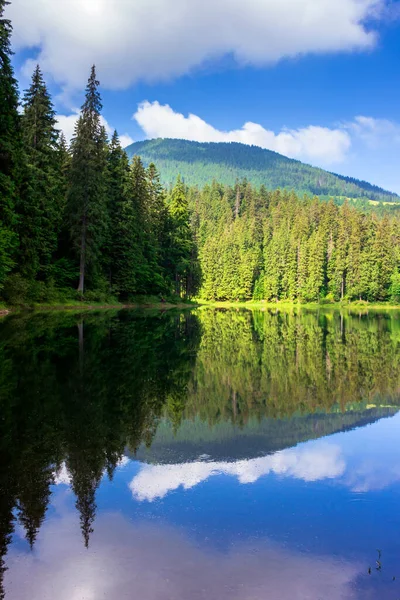 夏天的湖景 群山丛林中美丽的风景 — 图库照片