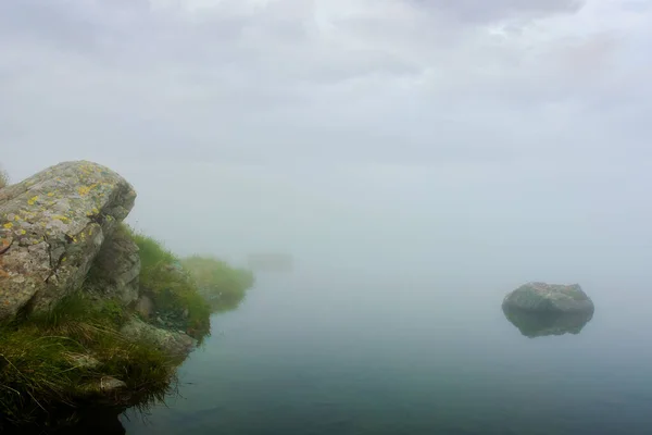 湖上的雾 长满青草的岩石海岸 阴云密布的天空神秘的天性能见度低的概念 — 图库照片