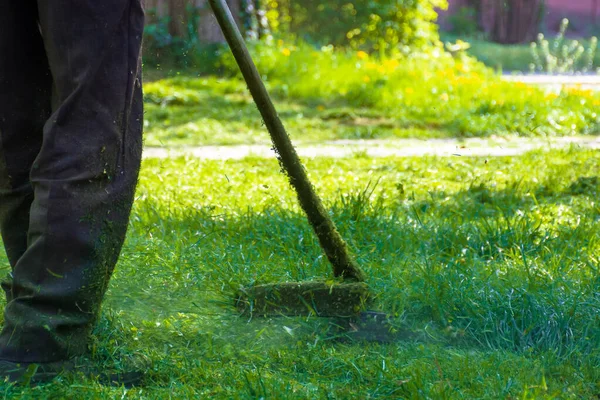 Lawn Care Maintenance Professional Grass Cutting Yard — Stock Photo, Image