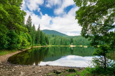 Dağlardaki orman arasında göl manzarası. Yazın güzel dağ manzarası. Synevyr Ulusal Parkı Ukraynalı Karpatların popüler varış yeridir. Sakin su yüzeyine yansıyan bulutlar