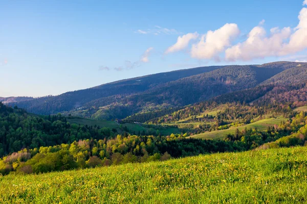 Paisaje Rural Las Montañas Atardecer Hermoso Paisaje Los Cárpatos Con — Foto de Stock