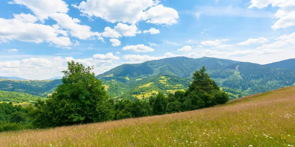 夏の田園風景の草原です 晴れた日には牧歌的な山の風景 草で覆われた丘が青い空の下の遠くの尾根に — ストック写真