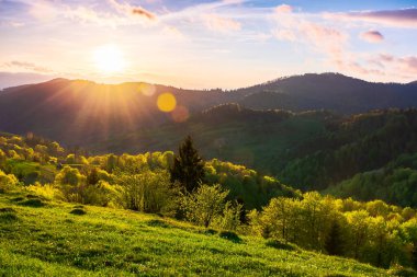 Gün batımında dağlarda kırsal manzara. Karpatların güzel manzarası. Akşam vakti çayırları ormanlık tepelerde yuvarlanıyor. İlkbaharda harika bir hava