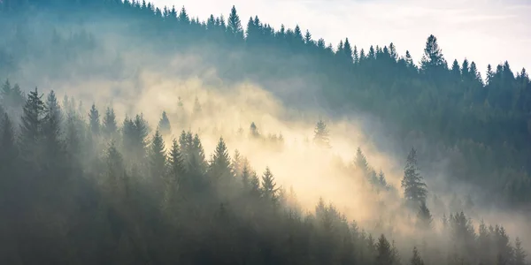 Туман Над Лесом Холме Загадочная Туманная Погода Утром Фантастические Горные — стоковое фото