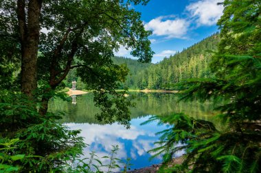 Dağlardaki orman arasında göl manzarası. Yazın güzel dağ manzarası. Synevyr Ulusal Parkı Ukraynalı Karpatların popüler varış yeridir. Sakin su yüzeyine yansıyan bulutlar