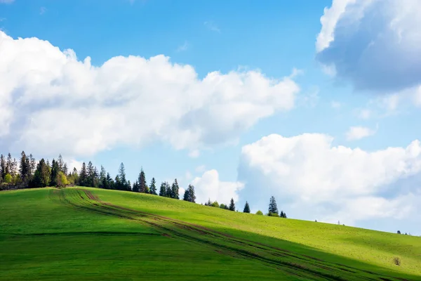Herrliches Sonniges Wetter Mit Wolken Über Dem Hügel Grünes Gras — Stockfoto