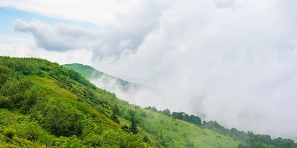 高山草甸的Mnt Runa Ukraine 夏天喀尔巴阡山脉美丽的自然景观 多云天气 — 图库照片