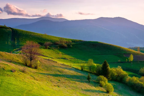 Landschaft Den Bergen Bei Sonnenuntergang Wunderschöne Karpatenlandschaft Mit Wiesen Die — Stockfoto