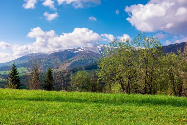 Einem Sonnigen Frühlingstag Freien Schöne Landschaft Den Bergen Wald Hinter — Stockfoto