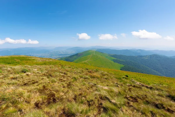 Karpatya Dağ Sırtı Borzhava Nın Alp Manzarası Rüzgarlı Bir Yaz — Stok fotoğraf