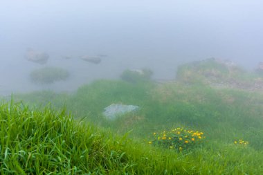 Gölde sis var. Taşlı çimenli bir sahil. Bulutlu gökyüzü. gizemli doğa. kötü görünürlük kavramı