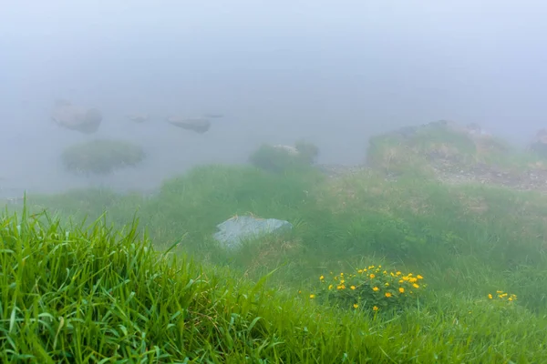 湖の霧だ 草の海に岩がある 曇った空 神秘的な性質だ 可視性の低さ — ストック写真