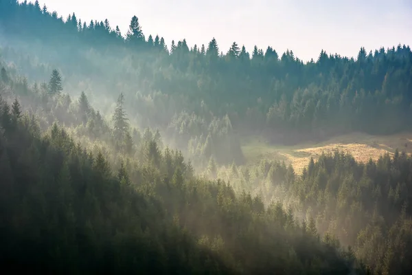 Mgła Nad Lasem Wzgórzu Tajemniczy Mglisty Poranek Fantastyczna Sceneria Górska — Zdjęcie stockowe