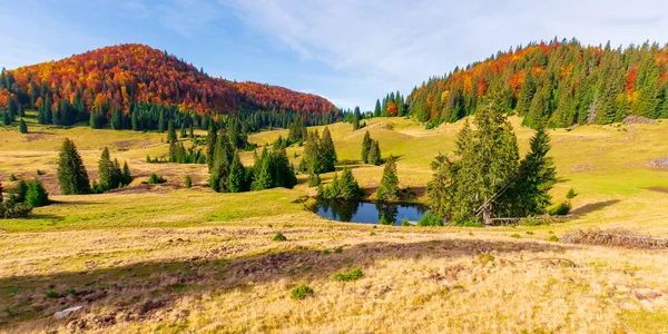Jesienny Panoramiczny Krajobraz Górach Jodły Wokół Stawu Łące Żółtawej Pogodnej — Zdjęcie stockowe
