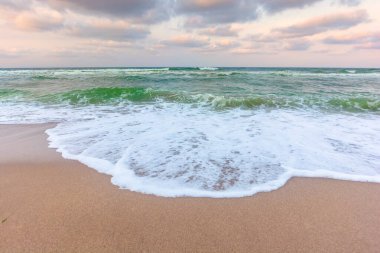 Yeşil deniz sularının üzerinde altın bulutlu bir gün batımı. Dalgalar kumsala çarpıyor. Açık ufuk. Değişen rüzgarlı hava