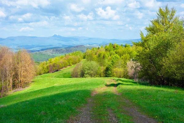Beautiful Nature Mountain Scenery Path Forest Grassy Hills Springtime Concept — Stock Photo, Image