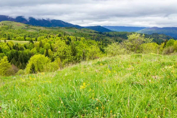 Green Meadows Mountainous Countryside Cloudy Weather Springtime Ridge Distance Beauty — Stock Photo, Image