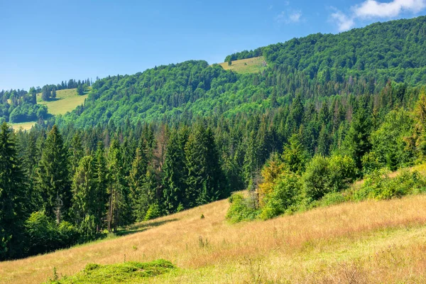 Grassy Meadows Mountainous Scenery Summer Idyllic Mountain Landscape Sunny Day — Stock Photo, Image