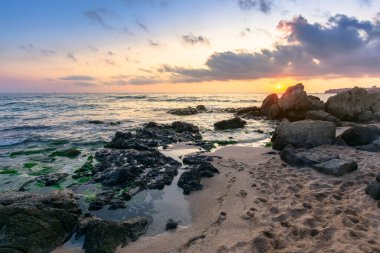 Deniz kıyısında cennet gibi bir gün doğumu. Dalgalar kumlu sahilde kayalara çarpıyor. Ufkun üzerindeki güzel bulutlar