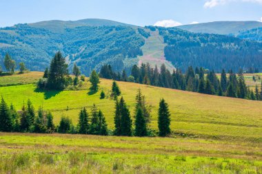 Öğlen vakti dağlık kırlarda. Tepenin eteğindeki ağaçların ve tarlaların olduğu güzel kırsal manzara. Doğa ve sürdürülebilirlik geliştirme kavramı