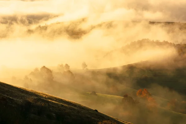 Herbstsonnenuntergang Den Bergen Baumwipfel Nebel Der Sich Durch Hügel Wälzt — Stockfoto