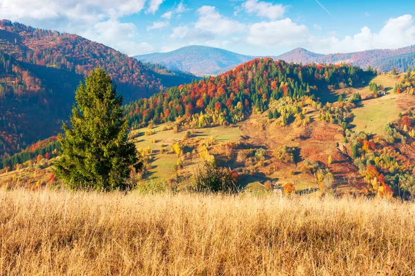 Campo Otoño Atardecer Paisaje Montaña Con Bosques Prados Luz Tarde — Foto de Stock