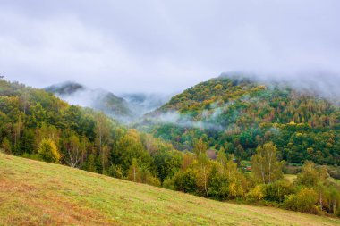 Orman, gün doğumunda sisli dağlarda. Kırsal alanlarda, bulutlu bir hava gününde sonbahar manzarası. gizemli doğa arkaplanı