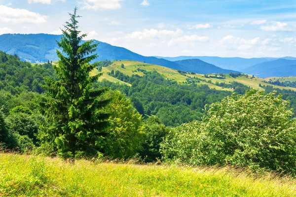 Berglandschap Zomer Blauwe Lucht Met Pluizige Wolken Groen Gras Weiden — Stockfoto