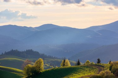 Gün batımında dağlarda kırsal manzara. Karpatların güzel manzarası. Akşam vakti çayırları ormanlık tepelerde yuvarlanıyor. İlkbaharda harika bir hava