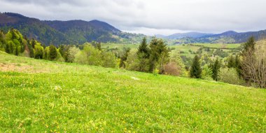 Dağlık kırların yeşil çayırları. İlkbaharda bulutlu hava. Uzakta tepe var. Kırsal alanın güzelliği