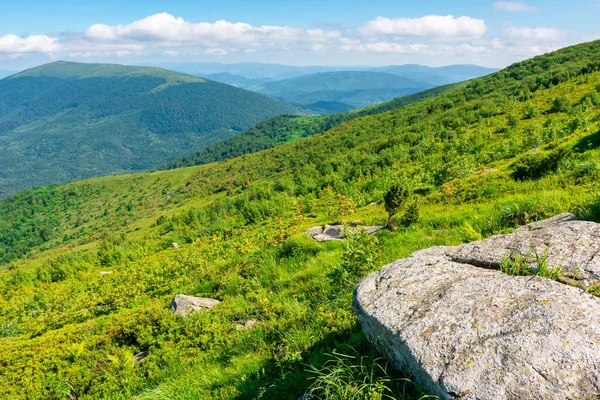 Prachtig Zomers Landschap Bergen Groene Grasweide Aan Heuvelkant Zicht Het — Stockfoto