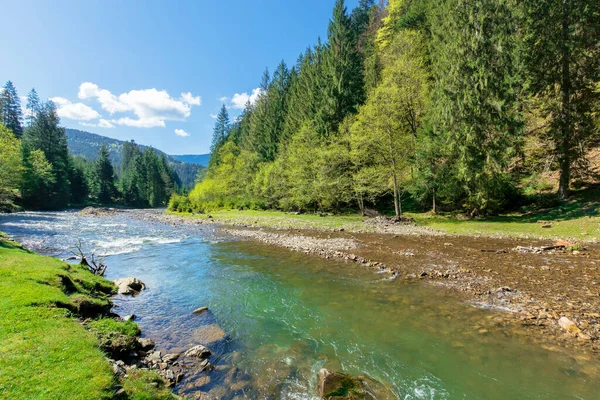 Flusslandschaft Inmitten Des Waldes Den Bergen Schöne Alpine Landschaft Frühling — Stockfoto