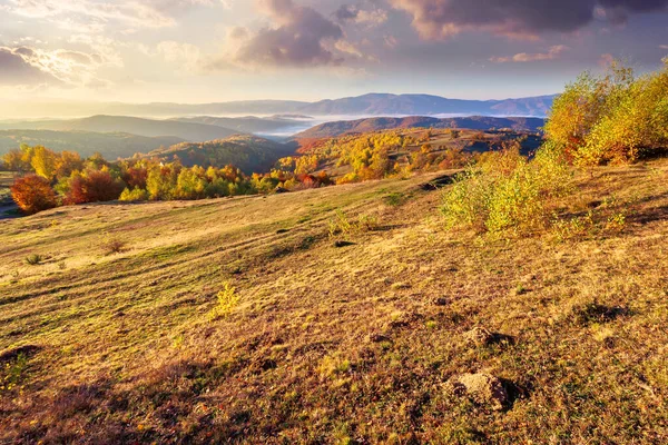 Autumn Sunrise Mountainous Countryside Trees Golden Foliage Meadow Weathered Grass — Stock Photo, Image