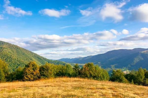 Wonderful Autumn Scenery Sunny Evening Trees Weathered Grass Hills Mountain — Stock Photo, Image