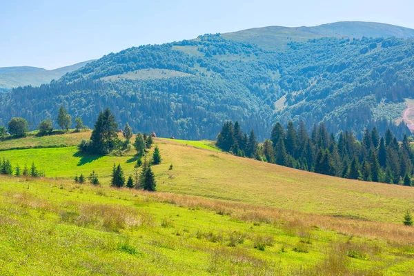 Górska Wieś Samo Południe Piękne Krajobrazy Wiejskie Drzewami Polami Wzgórzach — Zdjęcie stockowe