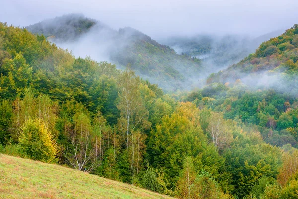 Bosque Montaña Niebla Amanecer Paisaje Otoño Con Campos Rurales Día — Foto de Stock