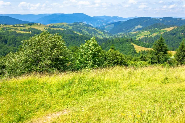 夏の山の風景 青い空にふわふわの雲 草原の緑の草 遠くの尾根に転がる丘 カルパチア地方の牧歌的な自然景観 — ストック写真