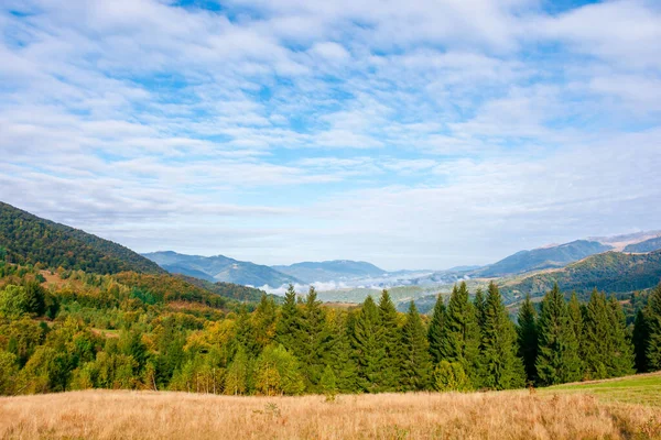 Paisagem Montanhosa Início Manhã Outono Vista Aberta Com Floresta Prado — Fotografia de Stock