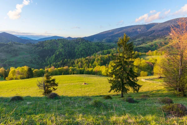 Landschaft Den Bergen Bei Sonnenuntergang Wunderschöne Karpatenlandschaft Mit Wiesen Die — Stockfoto