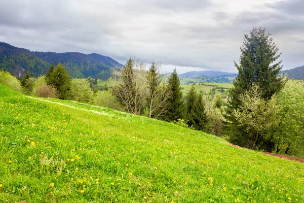 Verdi Prati Campagna Montagnosa Tempo Nuvoloso Primavera Cresta Lontananza Bellezza — Foto Stock