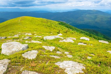 Alp çayırının kenarındaki beyaz kayalar. Yazın dağ manzarasının taze yeşil çimenli yamaçları. Ufuk çizgisine doğru gelen uzak tepeler. Bulutlu bulutlu güneşli hava